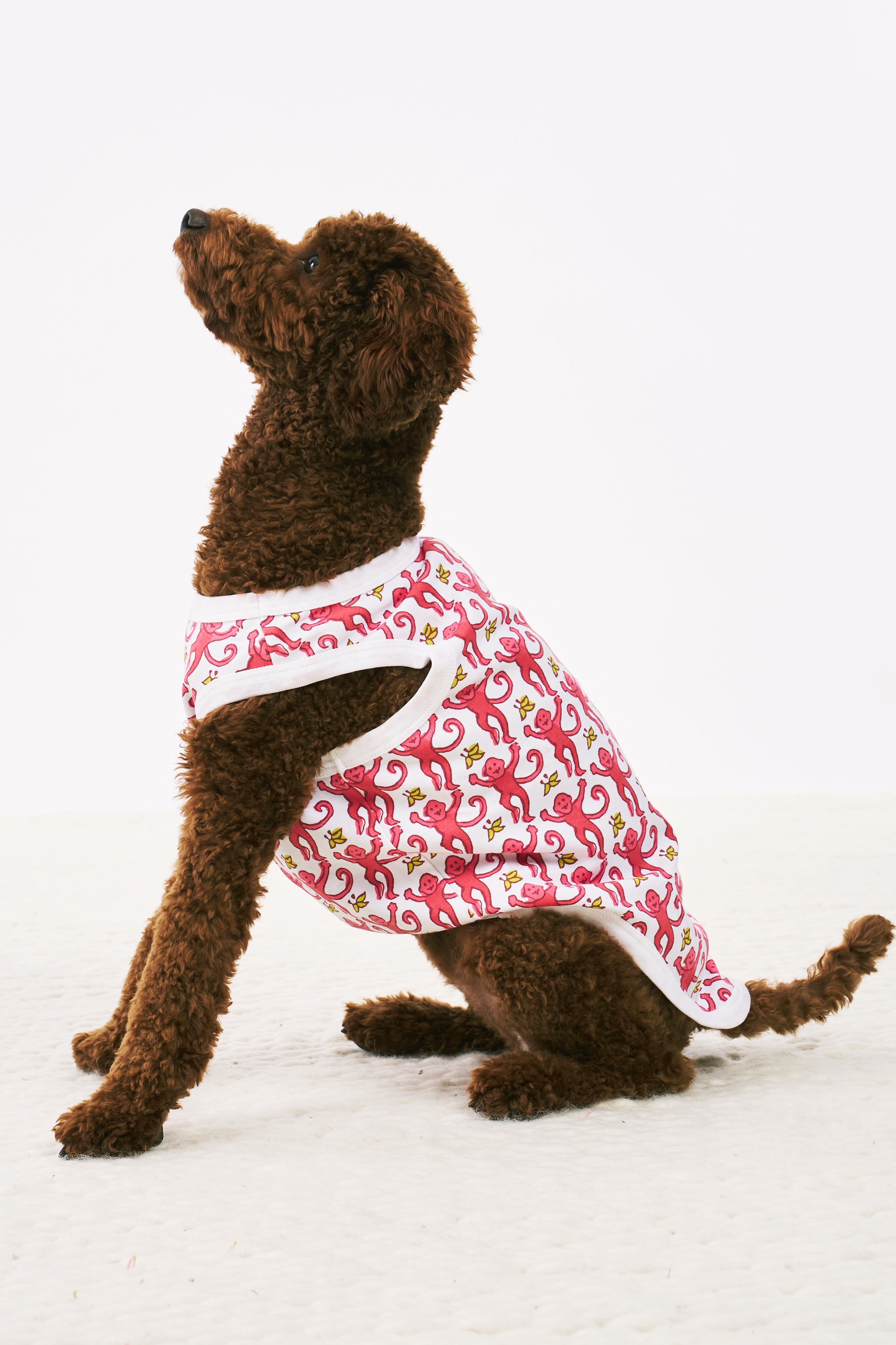 Cozy Monkey Print Dog Pajamas