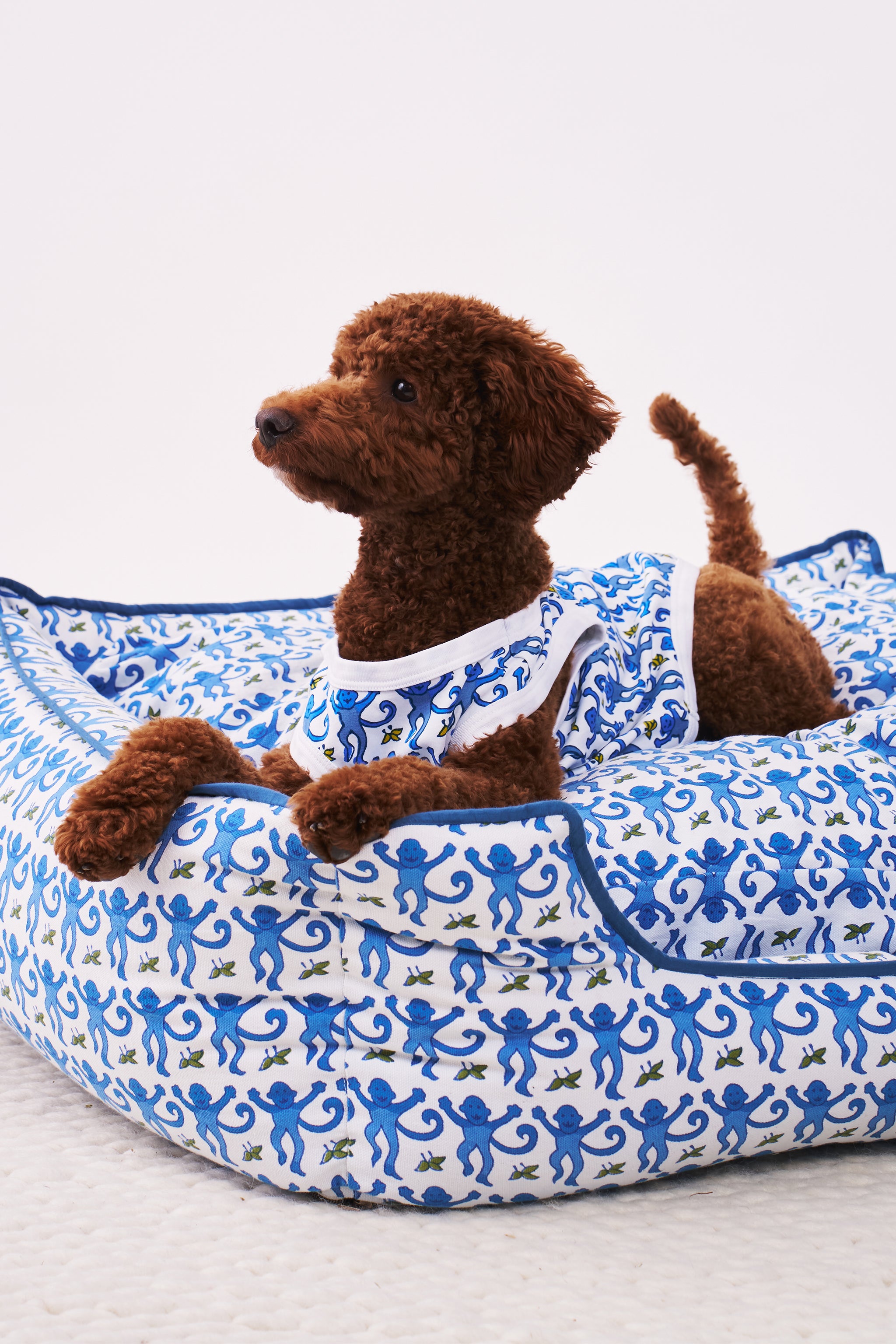Cozy Monkey Print Dog Pajamas