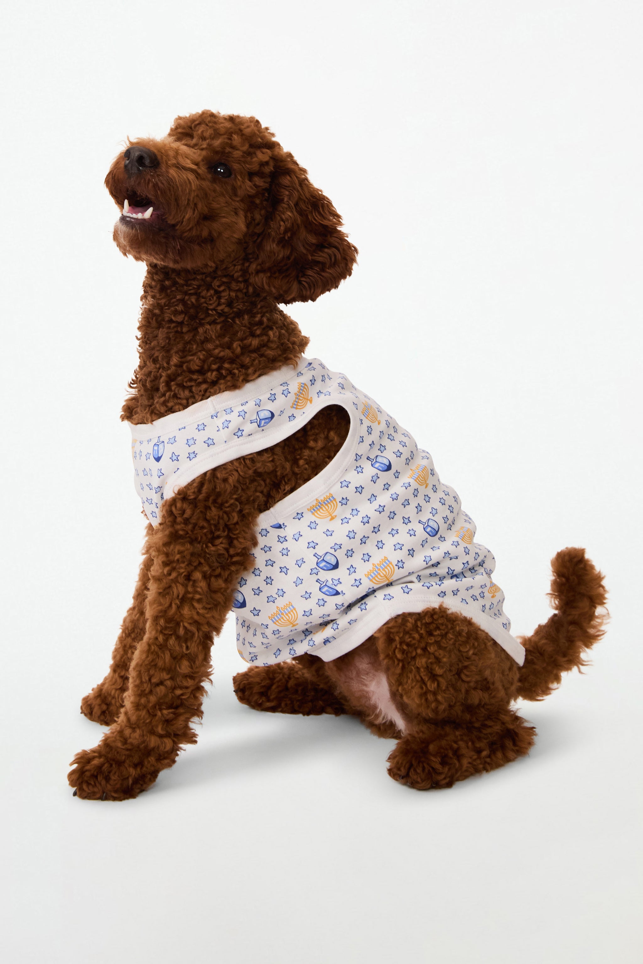 Cozy Holiday Dog Pajamas for Festive Nights